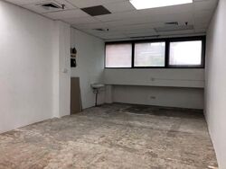 Lucky Plaza (D9), Shop House #571143691